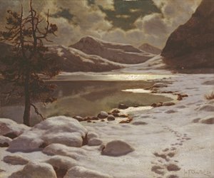 Holdfény télen